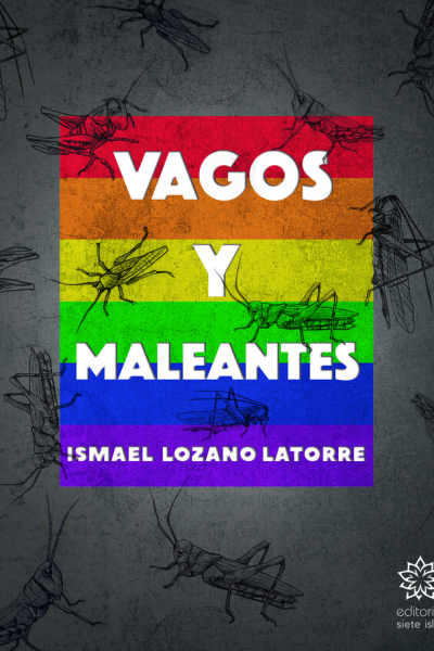 Vagos y maleantes