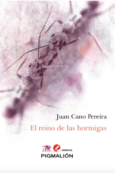 El reino de las hormigas