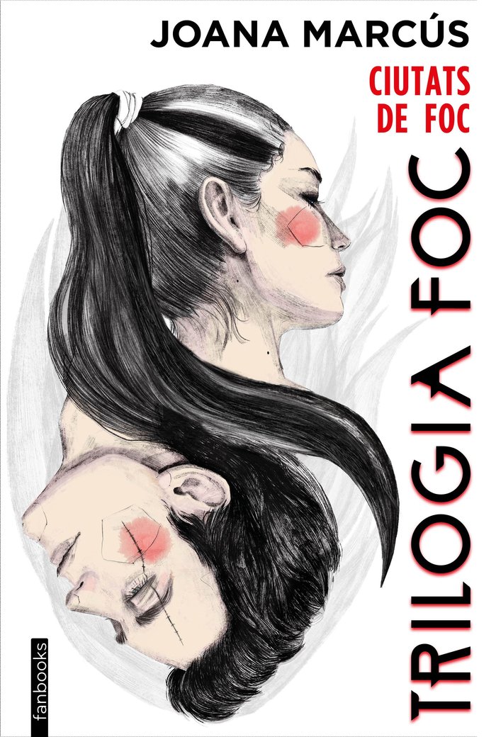 Trilogia foc 3. Ciutats de foc