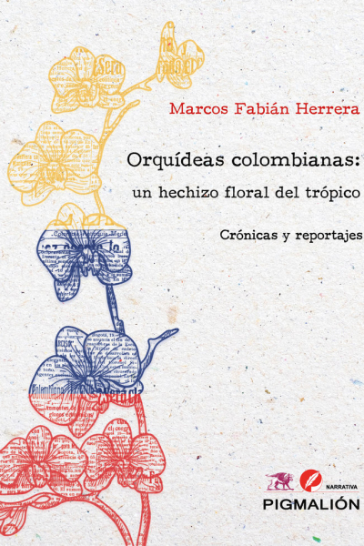 Orquídeas colombianas: Un hechizo floral del trópico