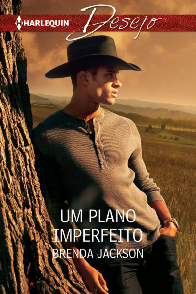 Um plano imperfeito