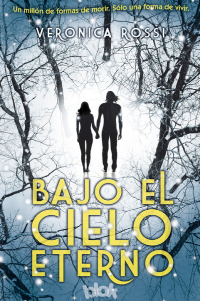 Bajo el cielo eterno (Cielo Eterno 1)