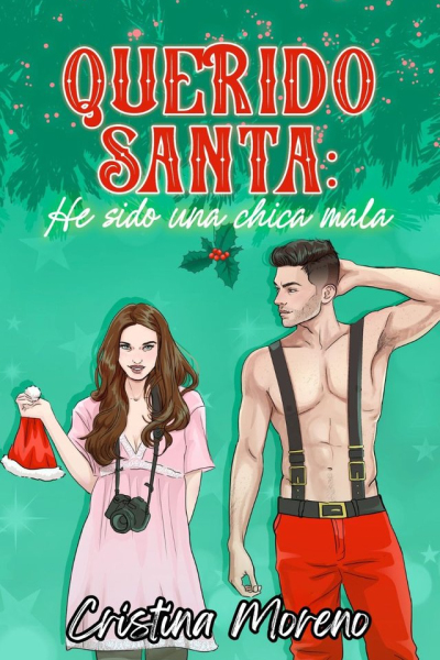Querido santa