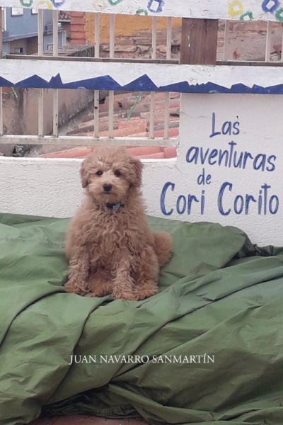 Las aventuras de Cori corito