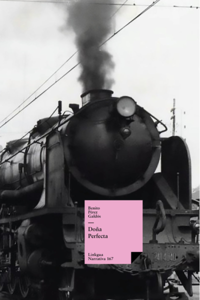 Doña Perfecta