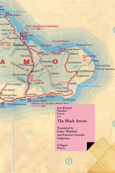 The Black Arrow