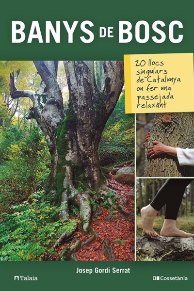 Banys de bosc:20 llocs singulars catalunya