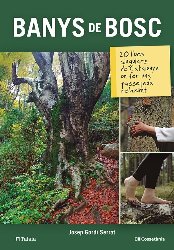 Banys de bosc:20 llocs singulars catalunya