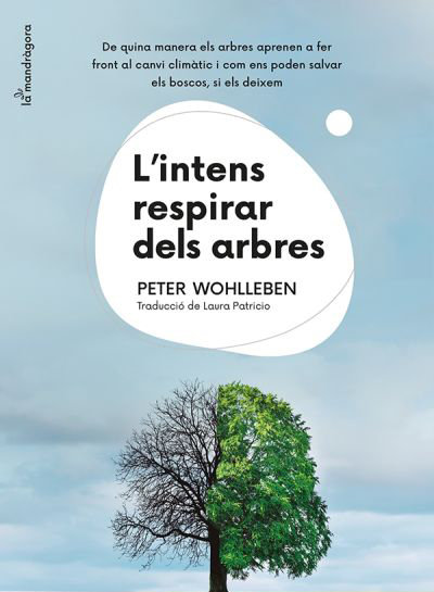 L'intens respirar dels arbres