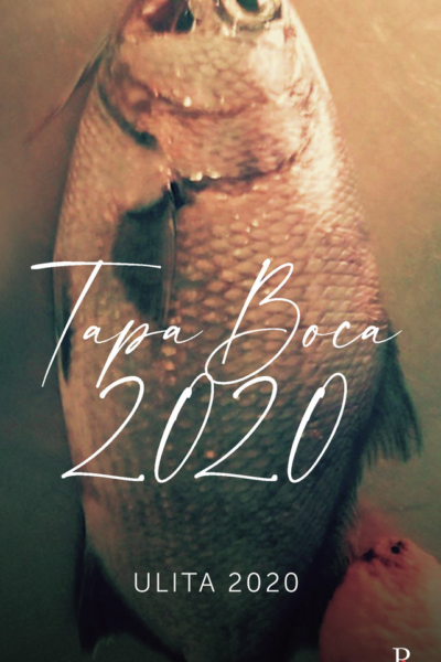 Tapaboca 2020