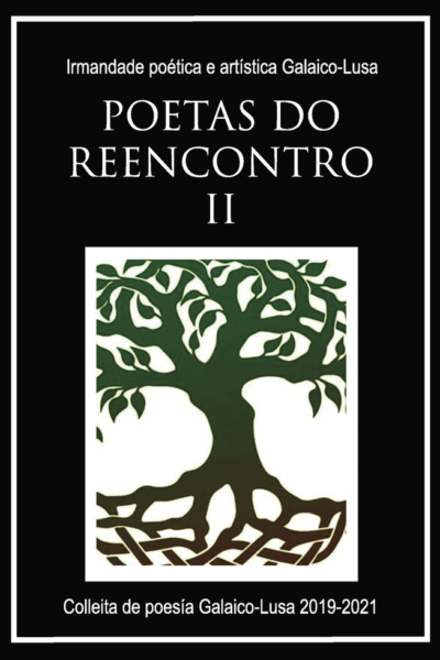 Poetas do reencontro II