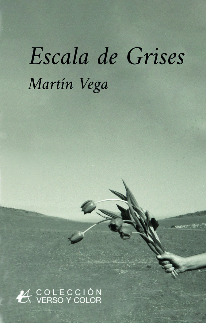 Escala de grises