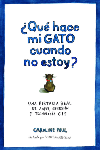 ¿Qué hace mi gato cuando no estoy?