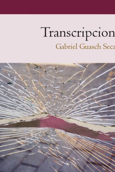 Transcripcions