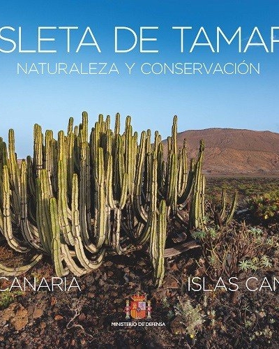 La Isleta de tamaran