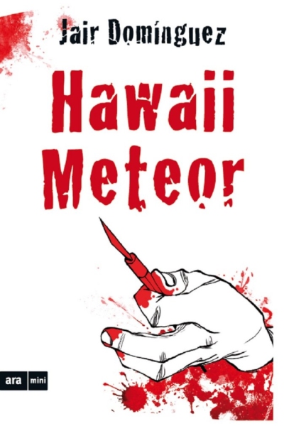 Hawaii Meteor