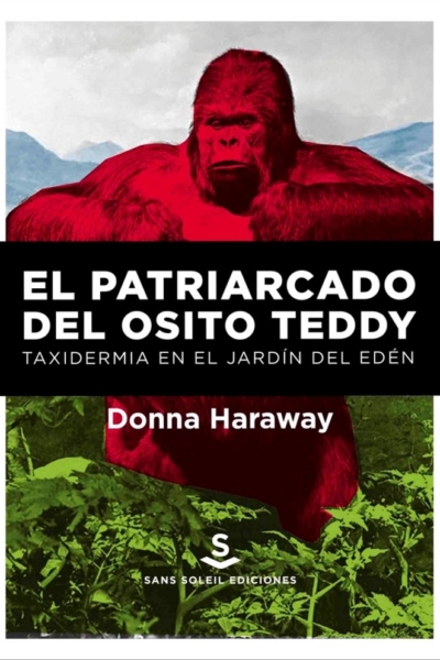 El patriarcado del osito Teddy