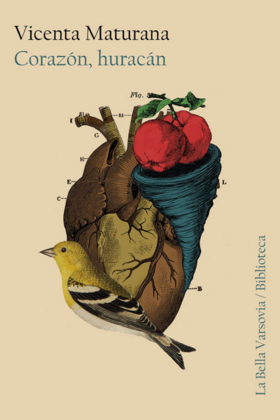 Corazón, huracán