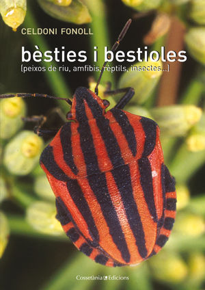 Besties i bestioles