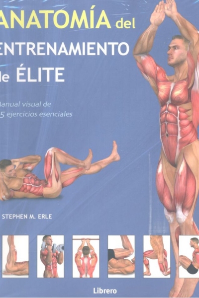 Anatomia del entrenamiento de elite