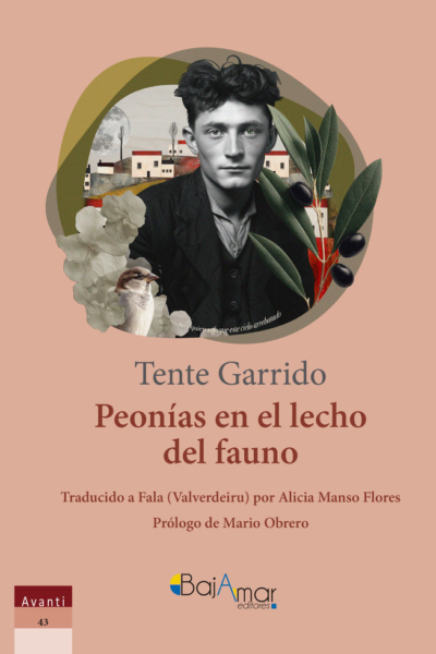 Peonías en el lecho del fauno