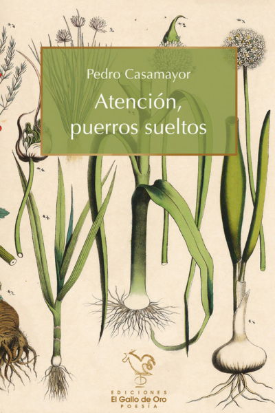 Atencin, puerros sueltos